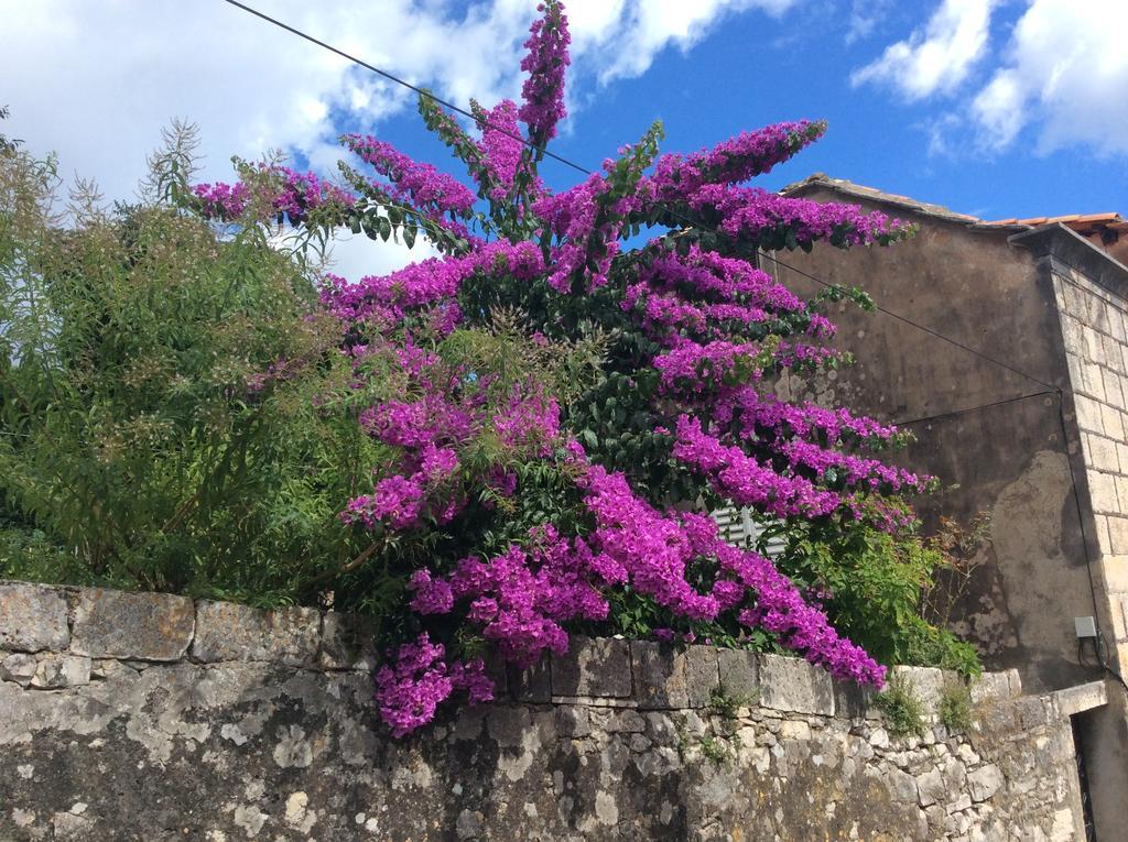Lux Apartments Korcula Town Ruang foto