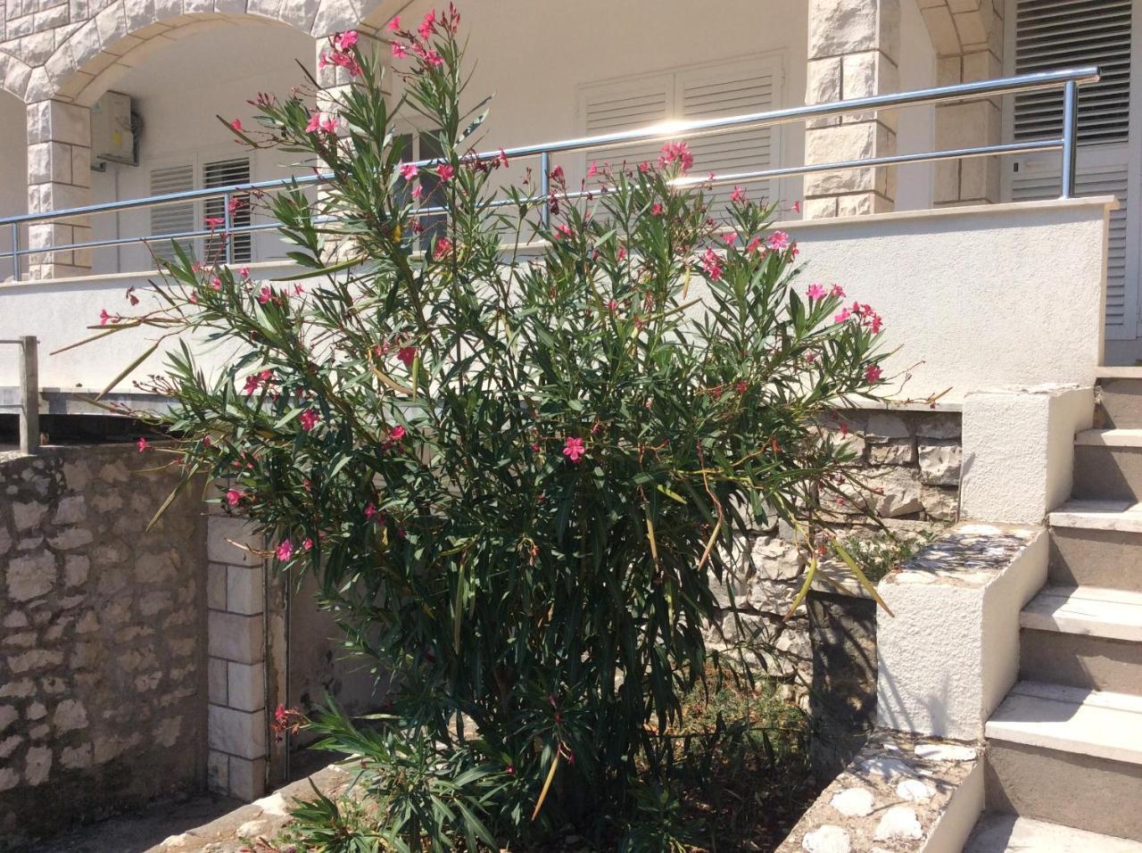 Lux Apartments Korcula Town Bagian luar foto